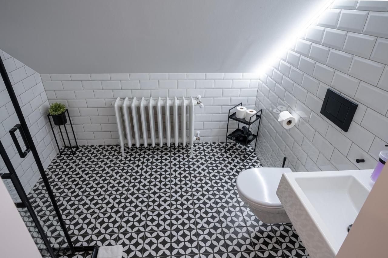 Vila Na Landeku オストラヴァ エクステリア 写真
